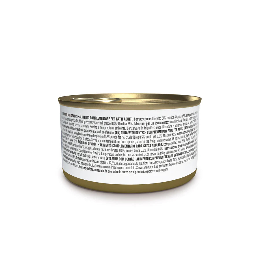 Alimento umido Schesir Tonnetto con Dentice in Gelatina 70 g per gatti adulti Alimento umido Schesir Tonnetto con Dentice in Gelatina 70 g per gatti adulti